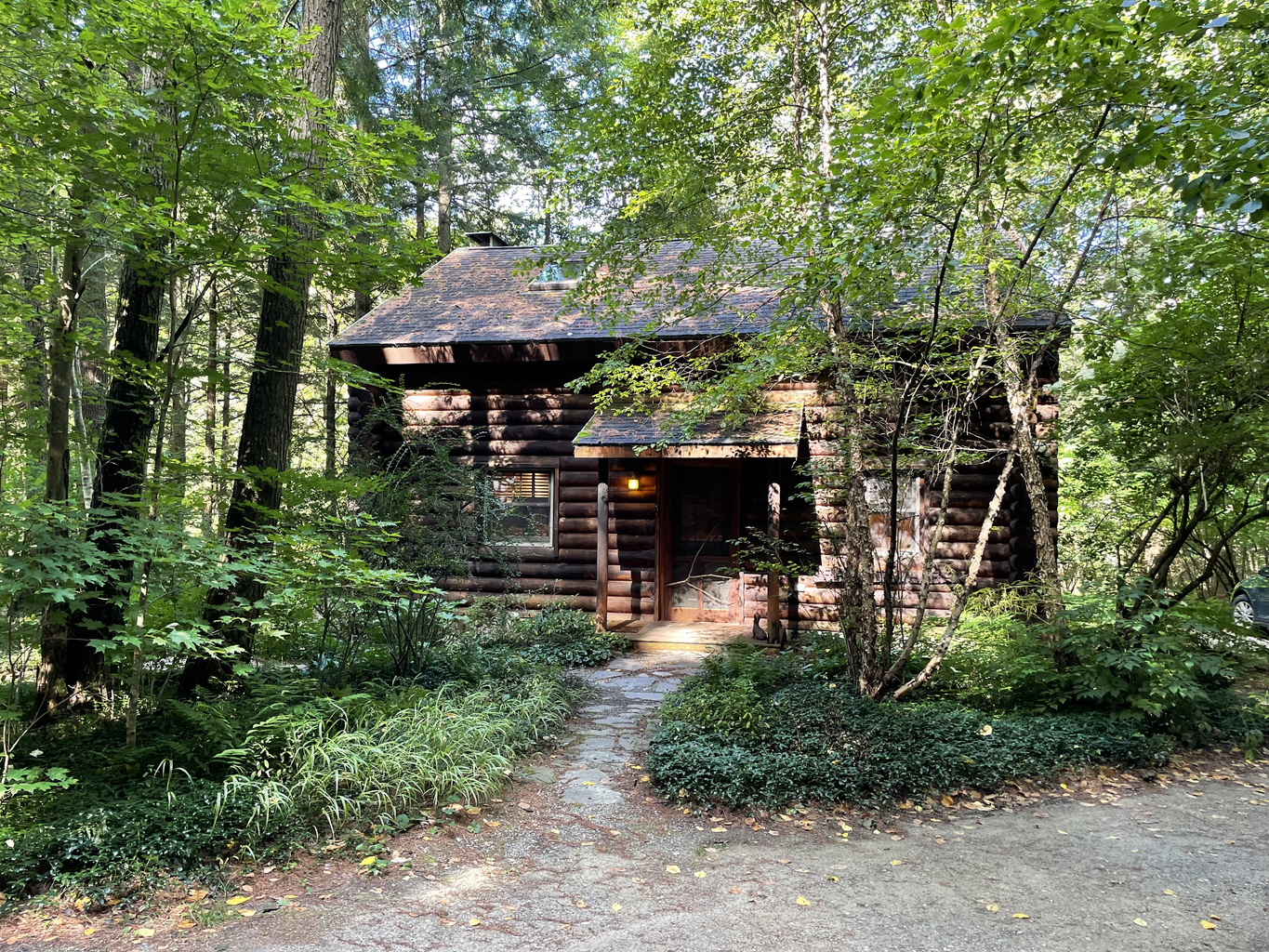 Nestled in a White Pine and Hemlock Forest