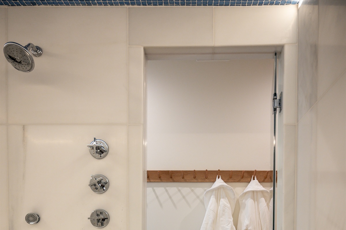 Main floor indoor steam room and steam shower