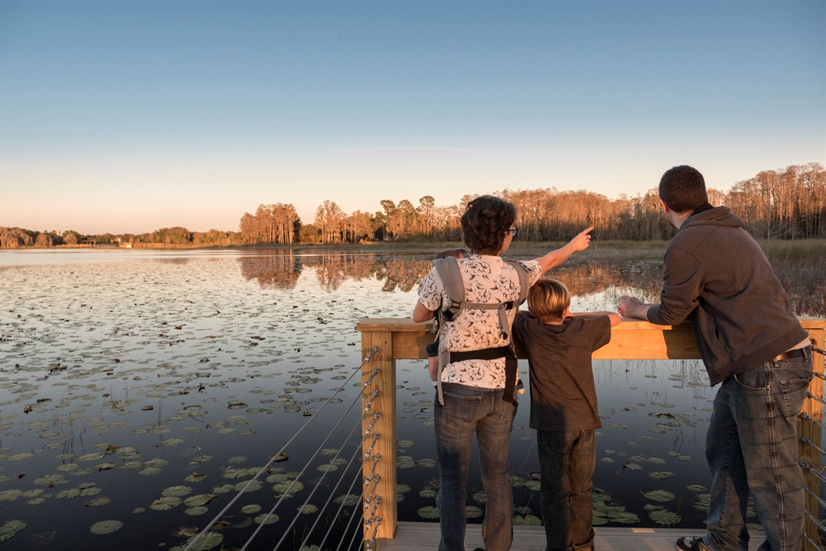 Lakeside sunset stroll