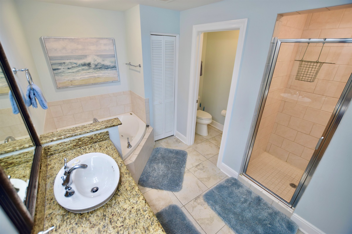 Azure #209: Primary Bath