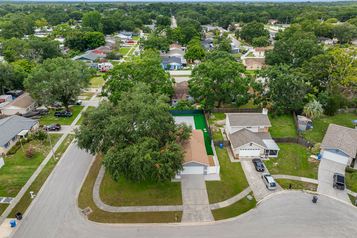 Aerial View of the Neighborhood