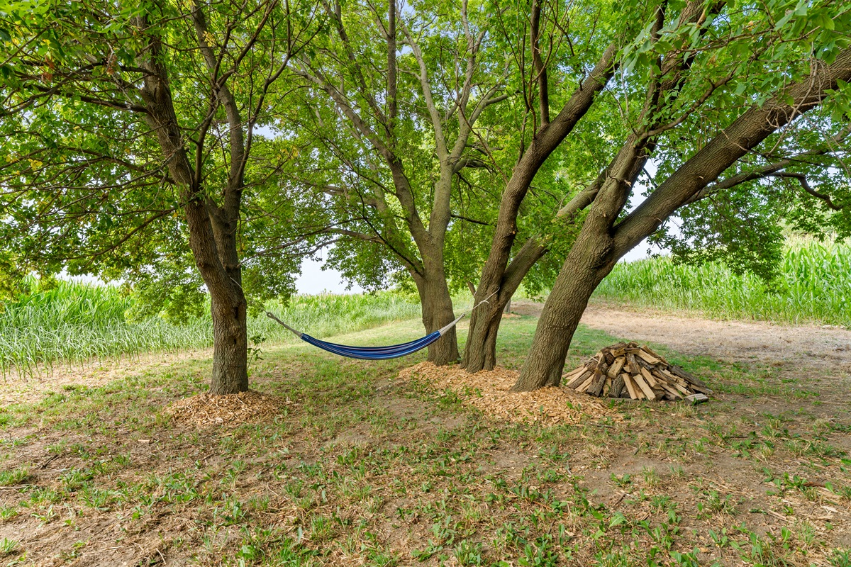 Kick back in hammocks and hanging chairs shaded by trees for the ultimate relaxation.