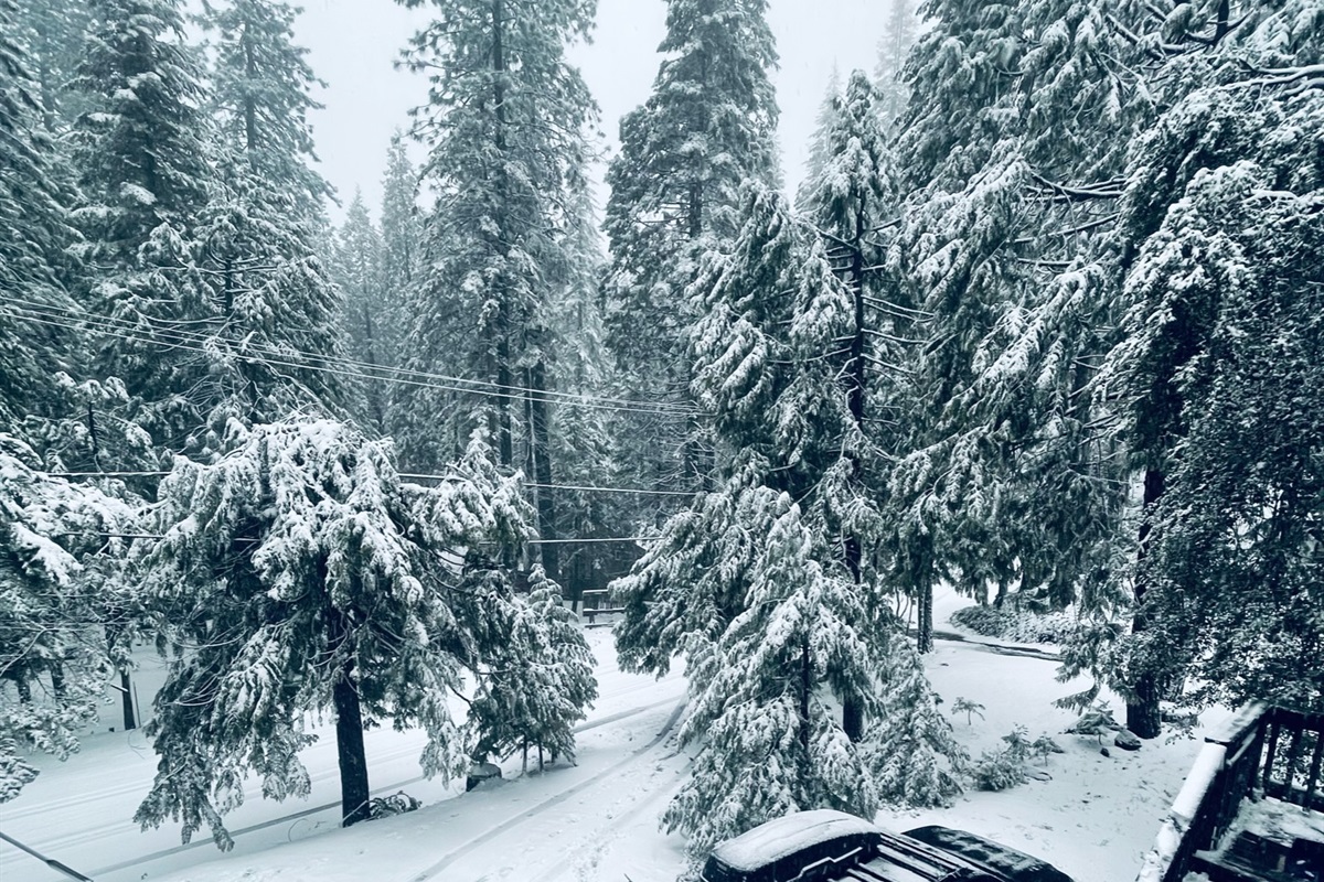 Winter