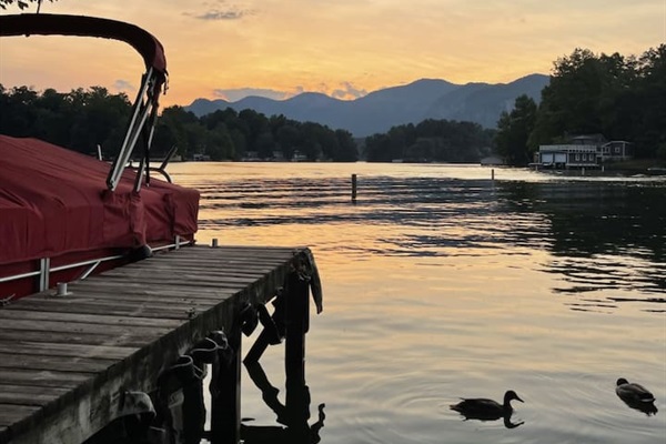 Pontoon boat  available for rent