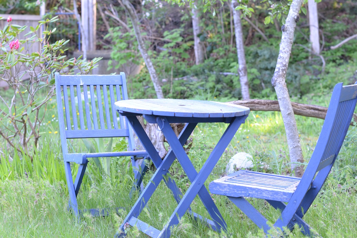 Backyard Bistro set