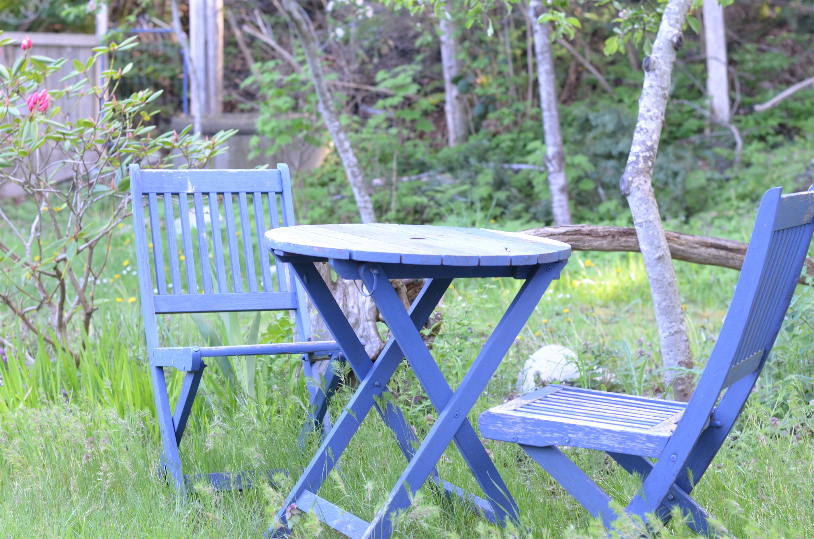 Backyard Bistro set