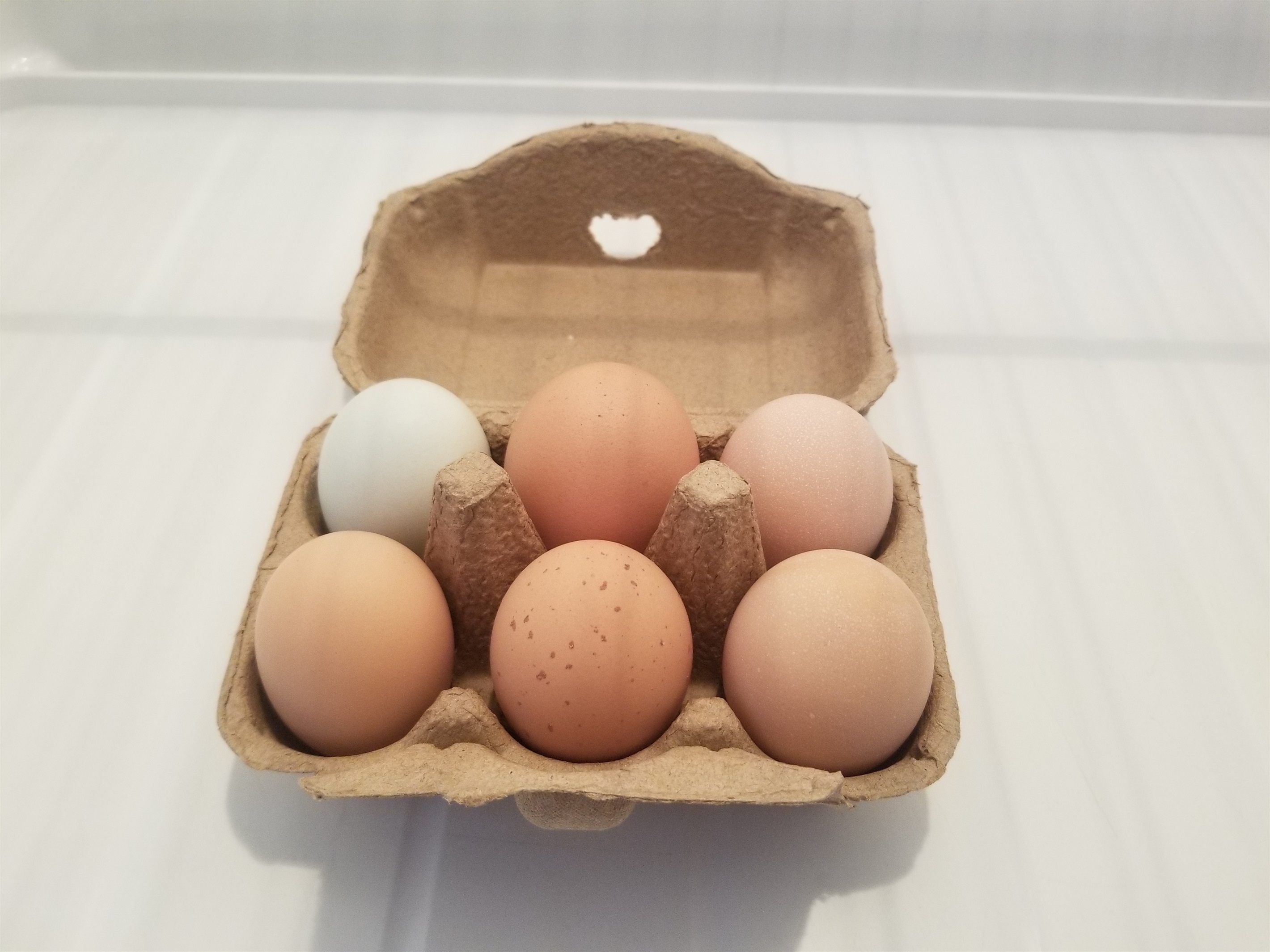 Fresh eggs