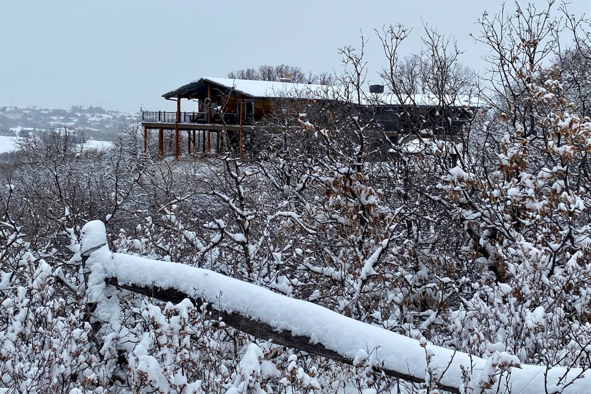 Winter wonderland!
