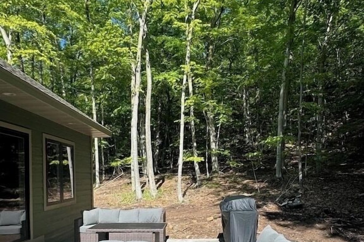 House 3 - backyard with seating area and gas grill