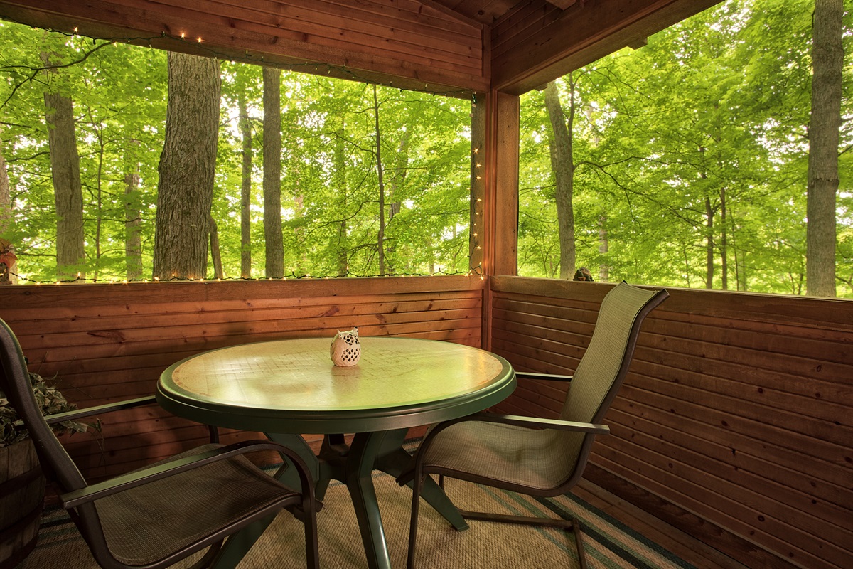 Enjoy a meal in the screened in porch area.