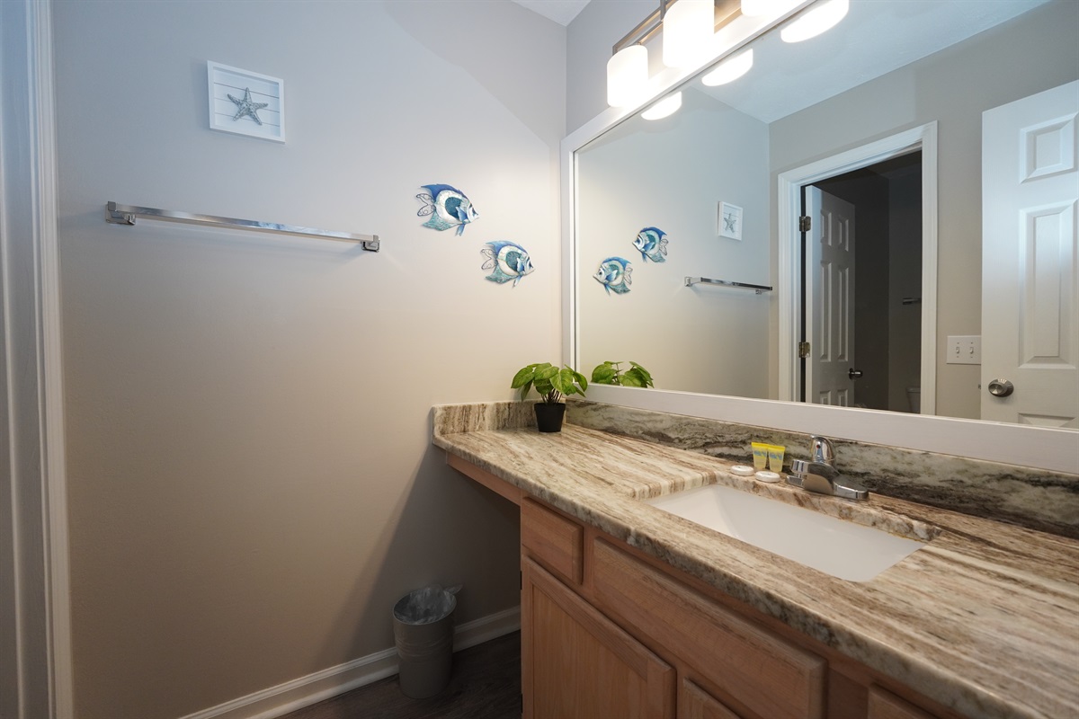 Master Ensuite Vanity