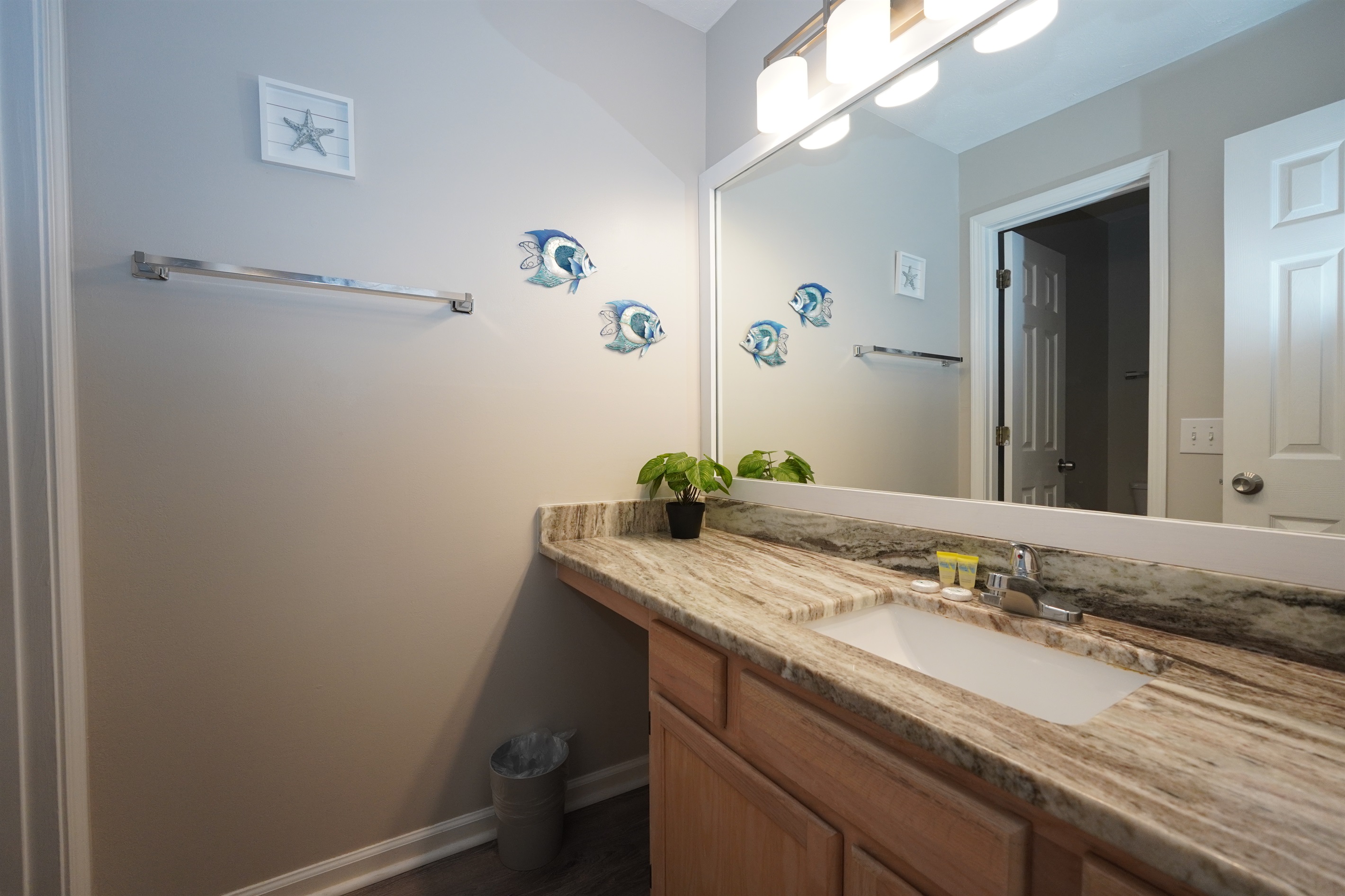 Master Ensuite Vanity