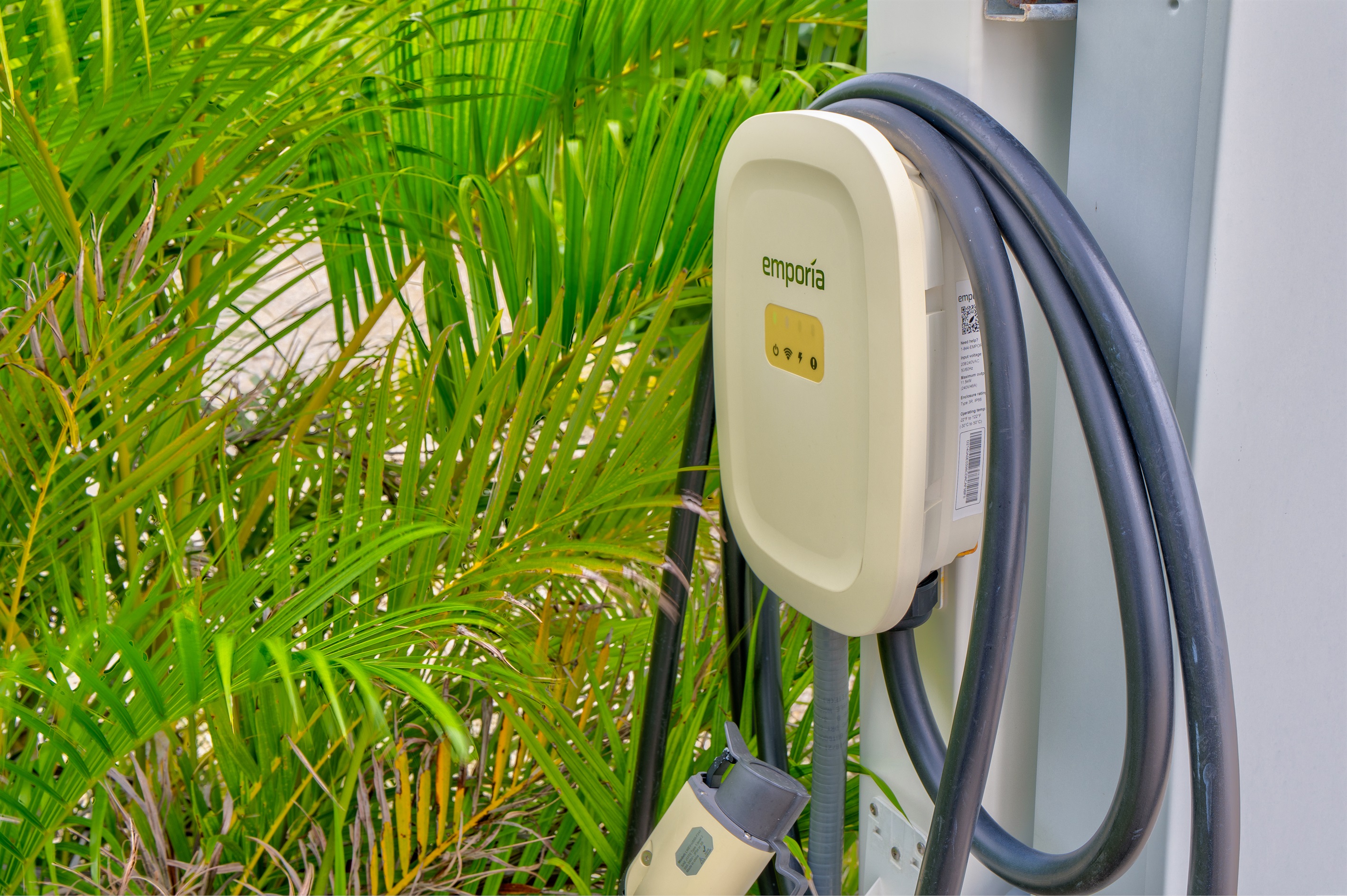 Thinking of getting the EV rental car?  Now you can.