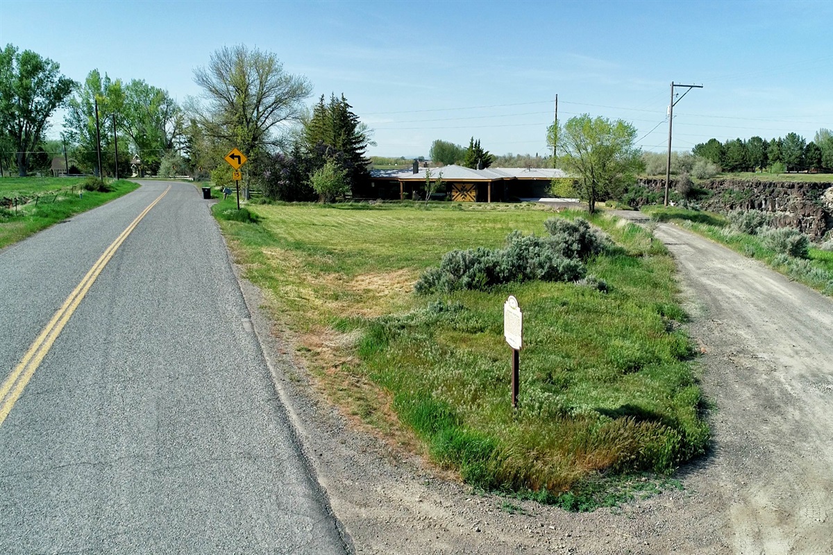 Front Yard