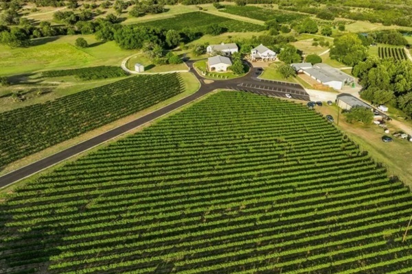 Award winning flat creek winery is 12 mins away