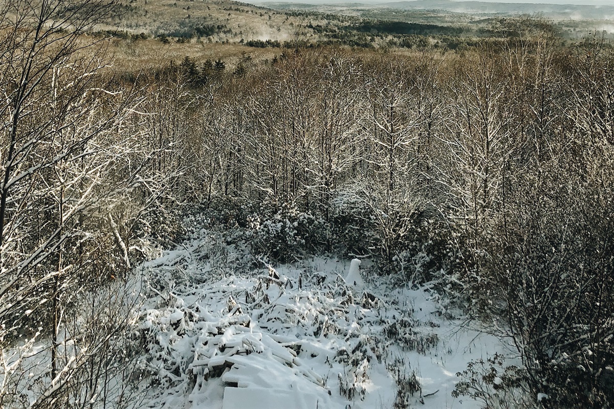 Winter views of Mombaccus Mountain.