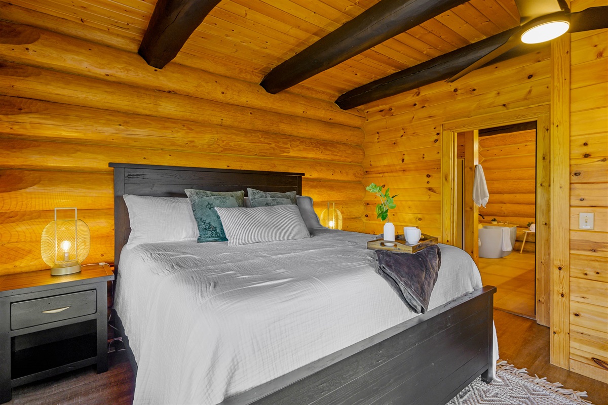 Main level bedroom with a King-sized bed