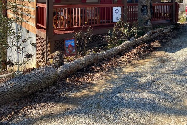 Inviting cabin. Carved tree welcomes you in.