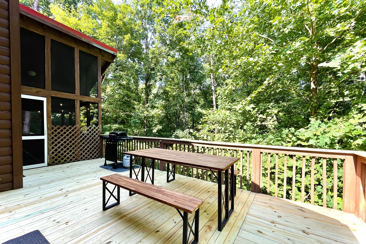 Outdoor Dining Picnic Table with Gas Grill