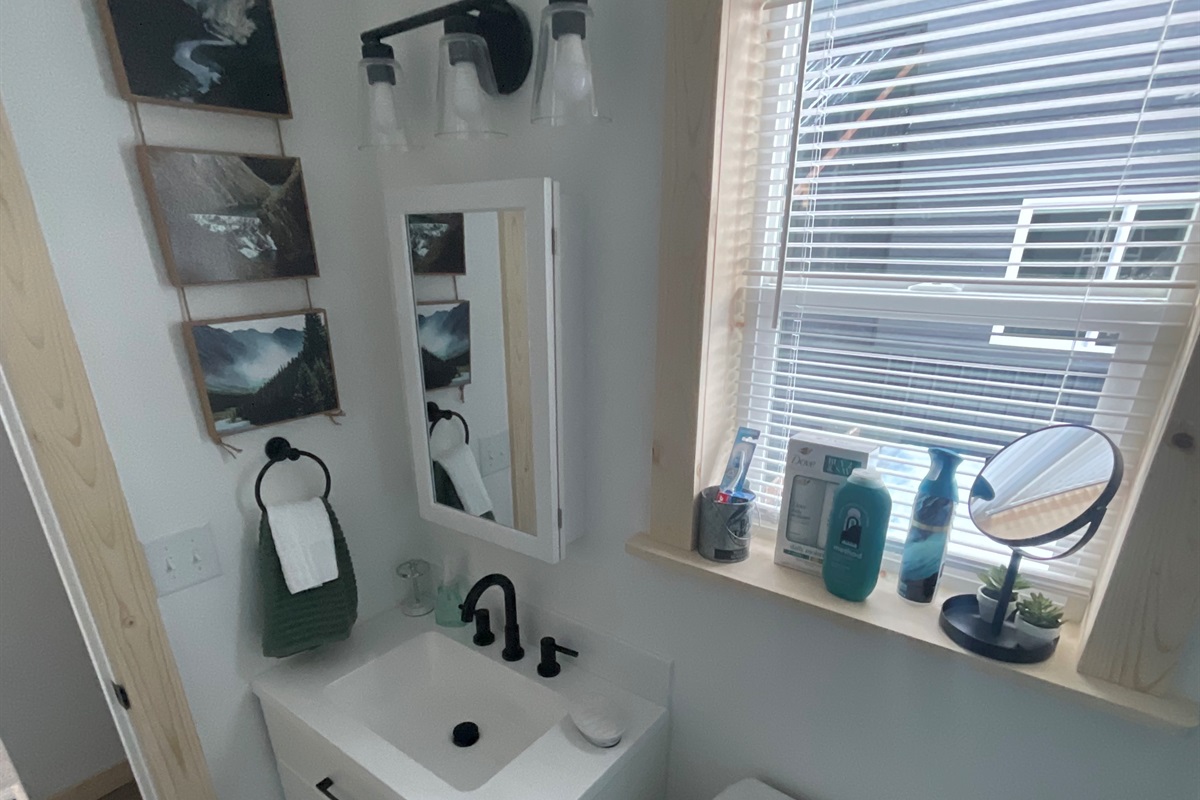 Bathroom includes a sink, toilet, and shower/tub combo.