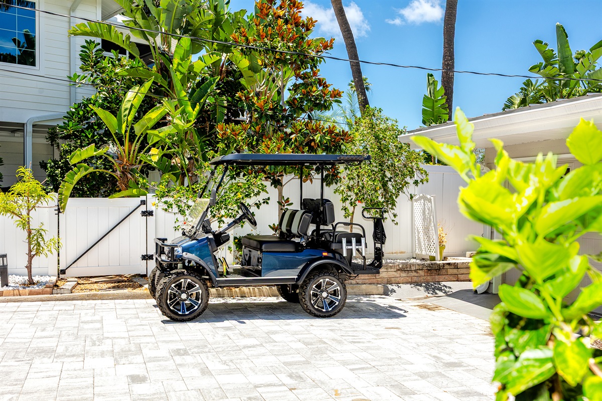 Golf cart 