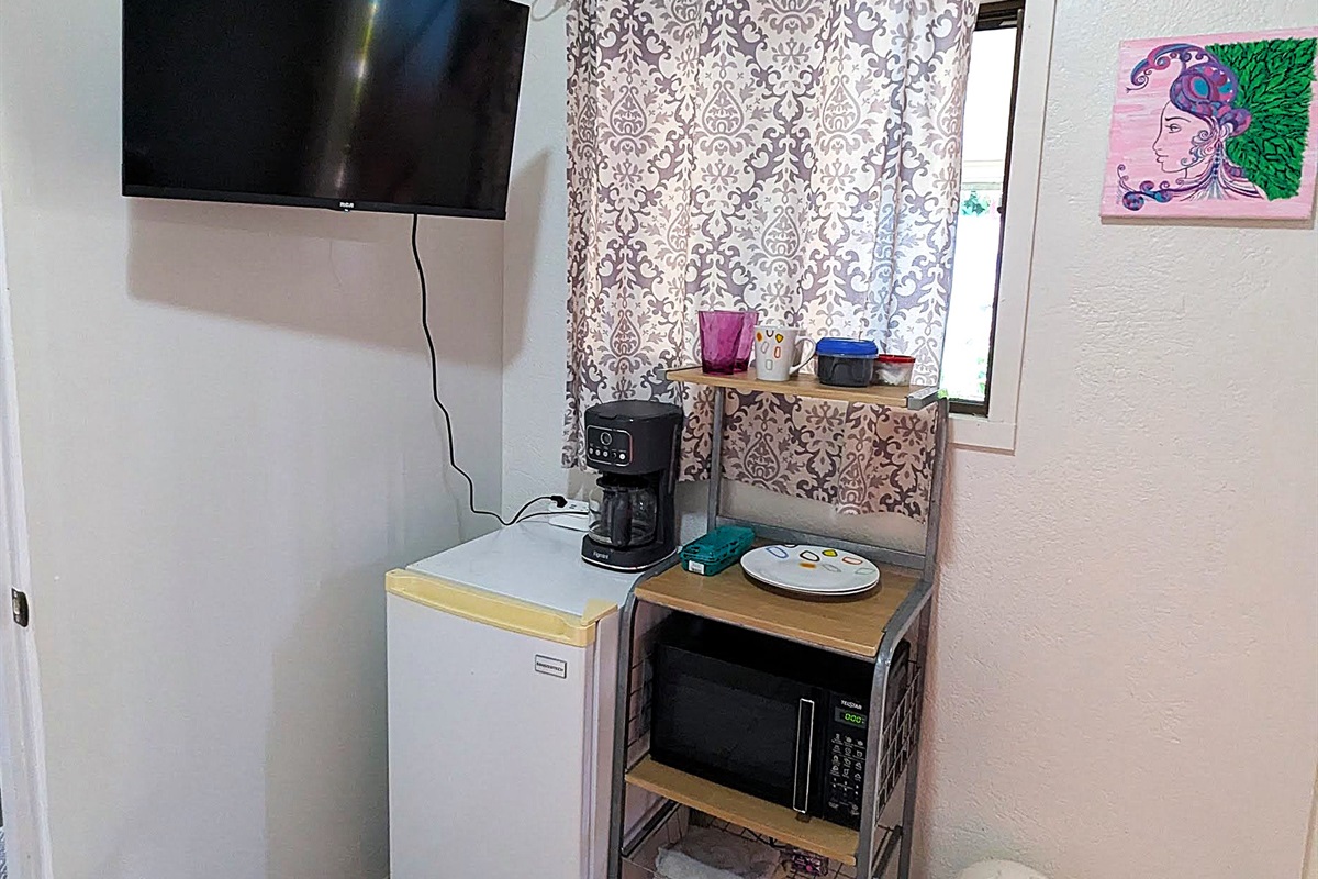 TV, mini fridge, and Microwave