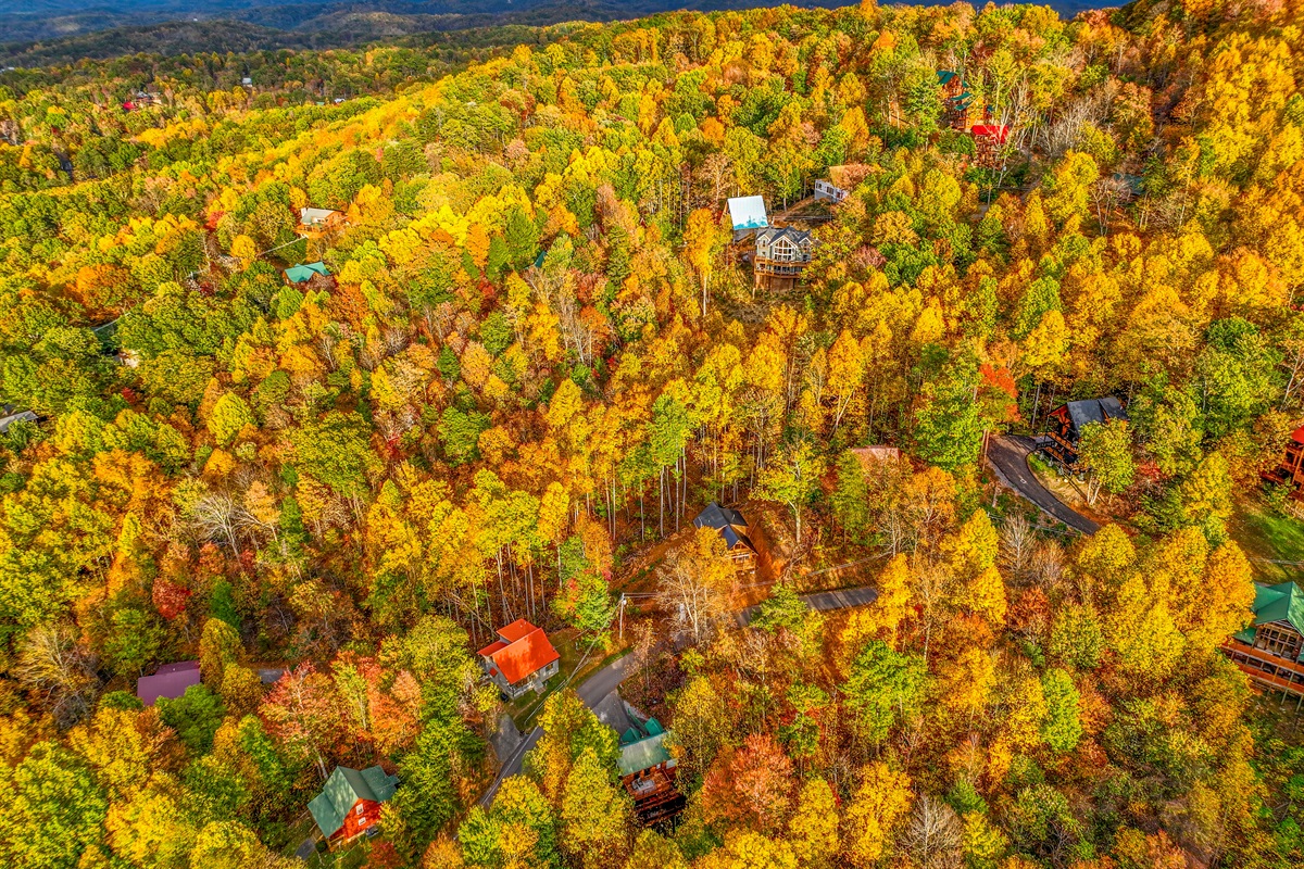 An aerial view of a serene autumn landscape, where vibrant hues of gold, orange, and red blanket the forest. Cozy cabins nestle among the trees, with majestic mountains rising in the distance.