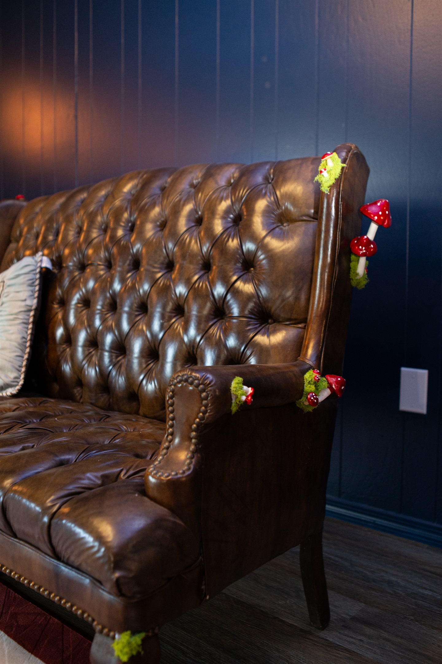 The Looking Glass Lounge