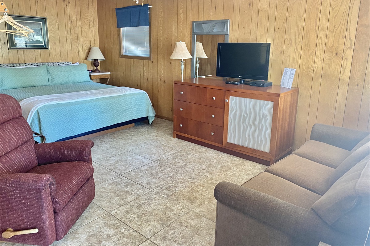 Living room with king bed and sofa sleeper