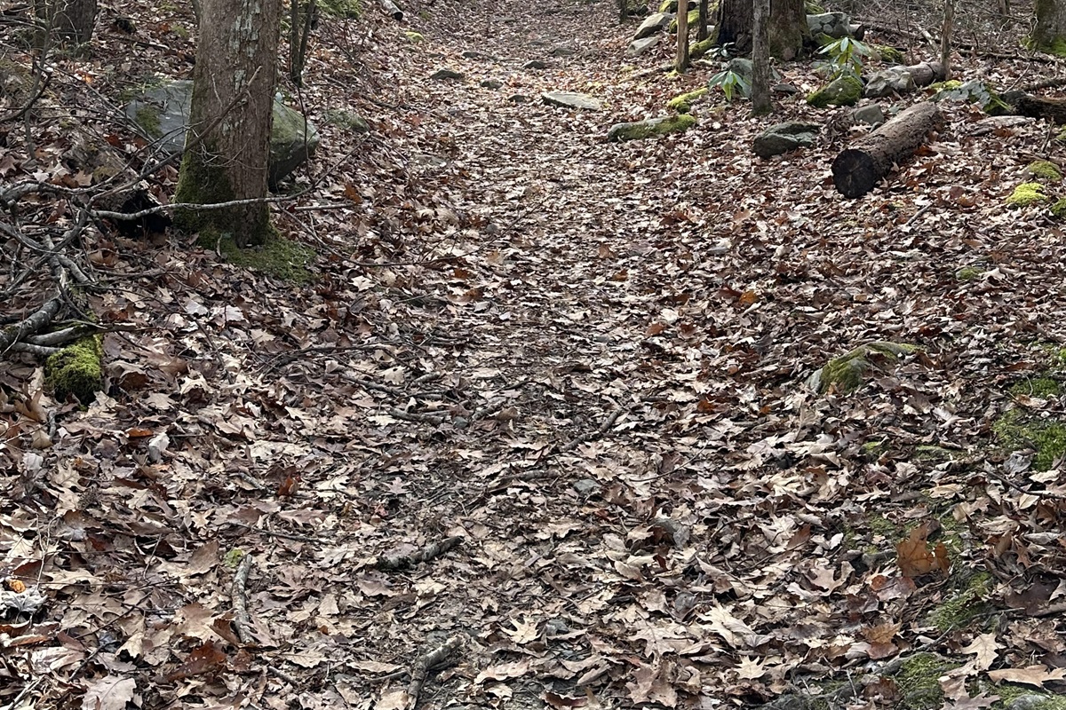 Enjoy nearby walking trail in Cosby
