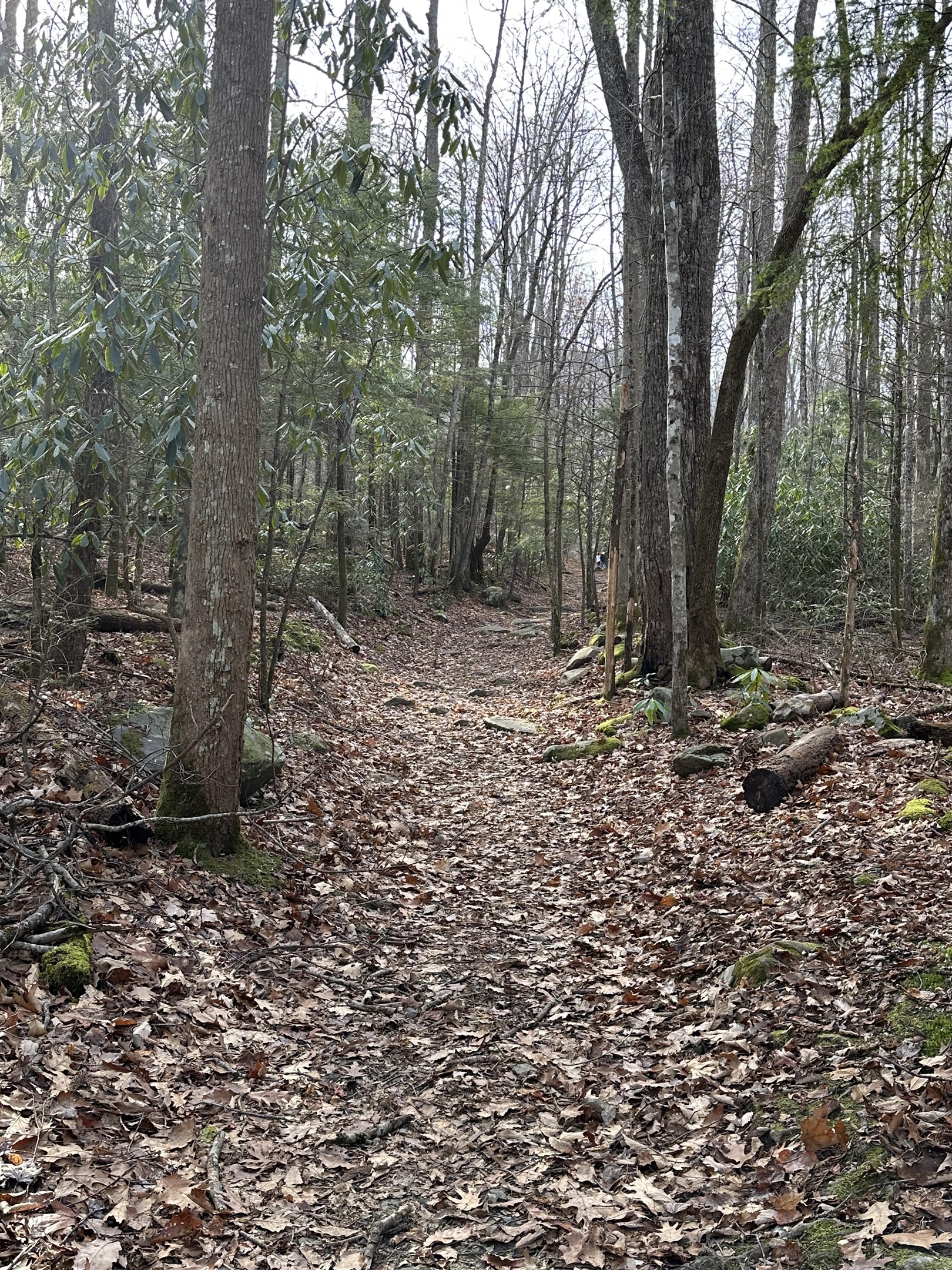 Enjoy nearby walking trail in Cosby
