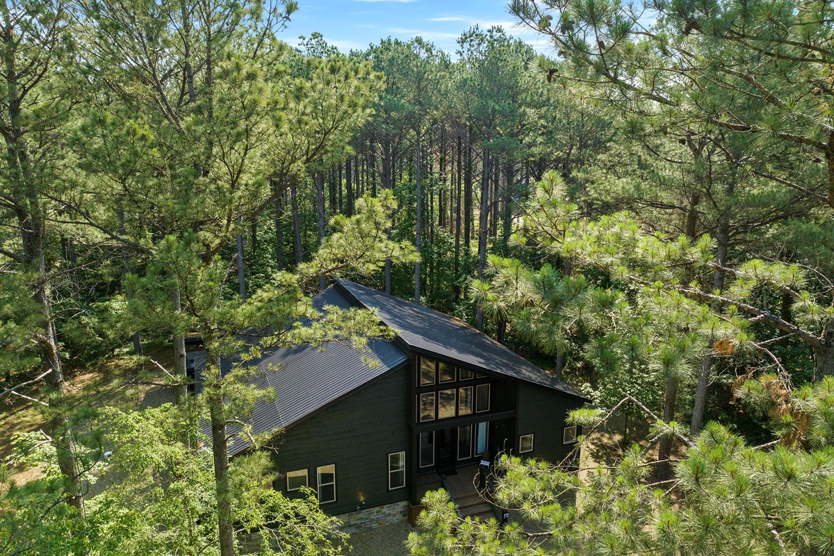 Cabin surrounded by peaceful forest views