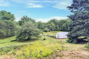 Beautiful garden in the property