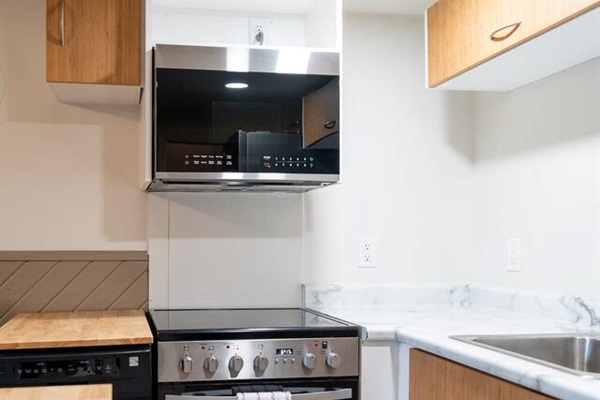 Lower level Kitchen. 