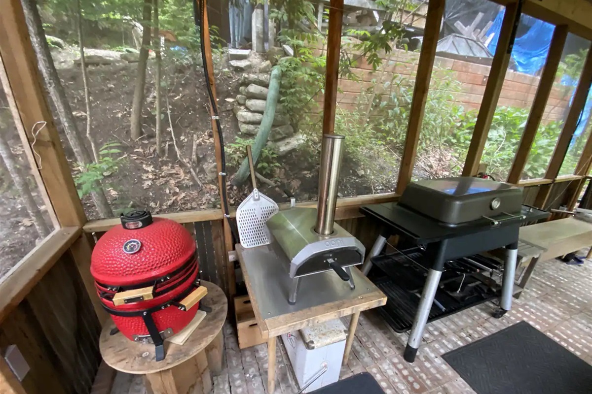 You have a choice of propane or charcoal BBQ as well as a wood-fired pizza oven