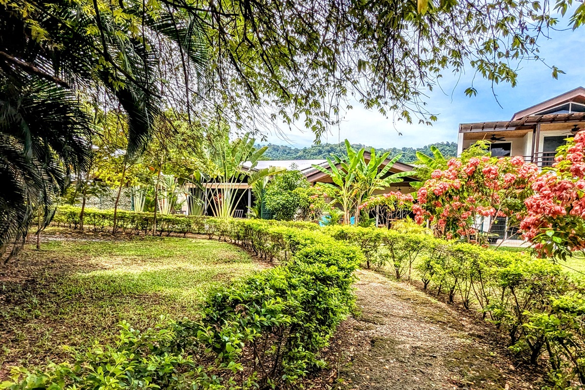 Walking paths through the community