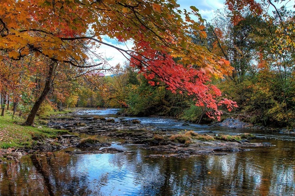 A stunning Fall view of the Little Pigeon River located at the resort.