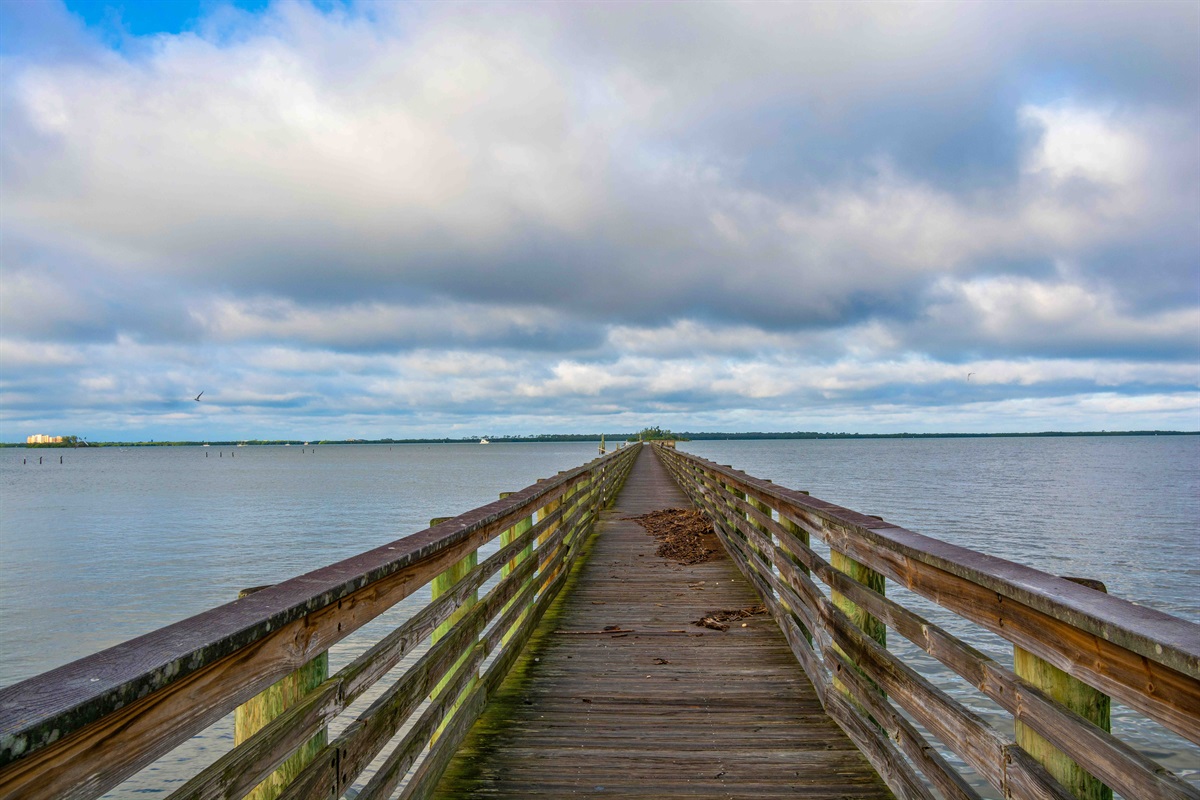 The long pier Dunedin Bay