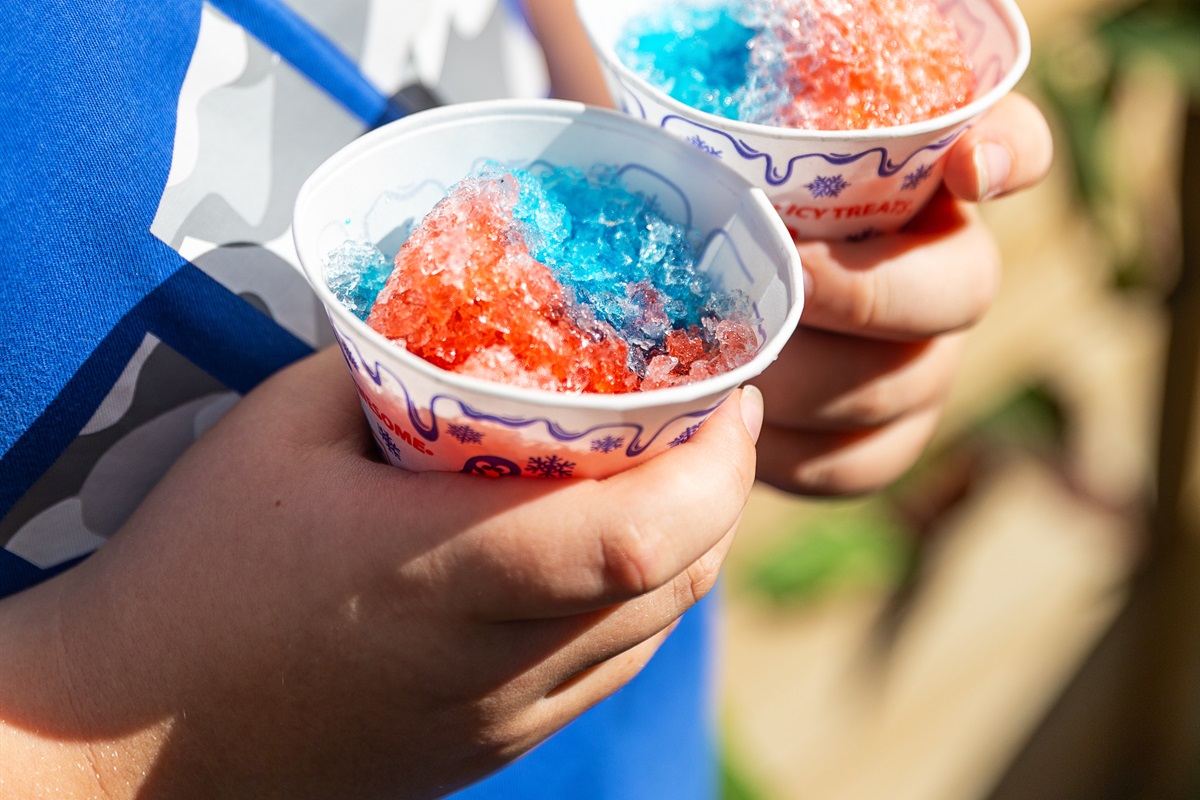 Make snow cones, cotton candy and many treats!