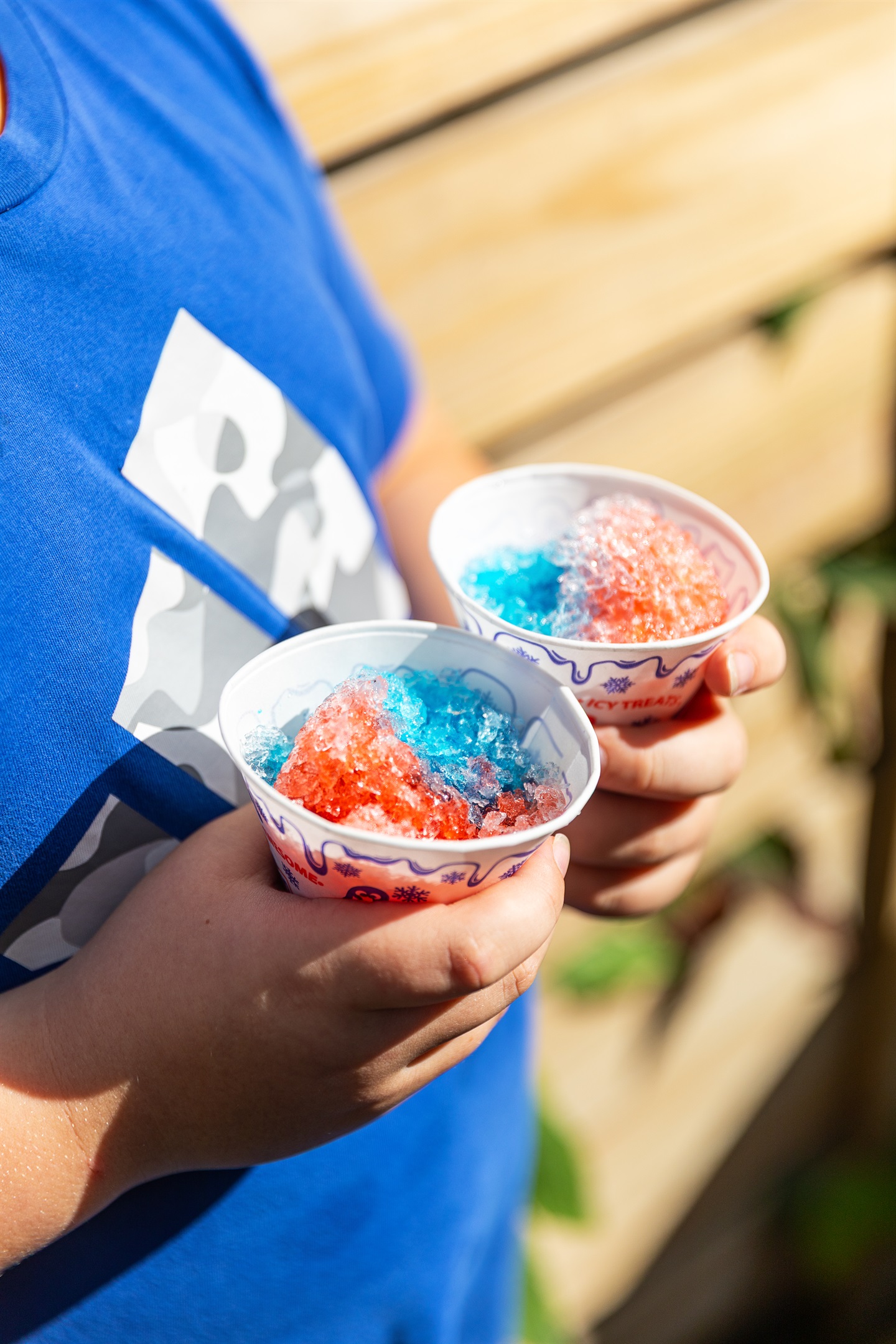 Make snow cones, cotton candy and many treats!