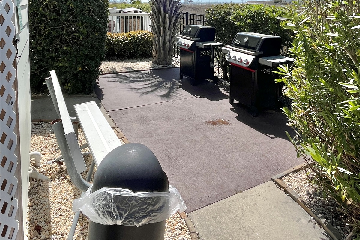 Propane Grilling Area