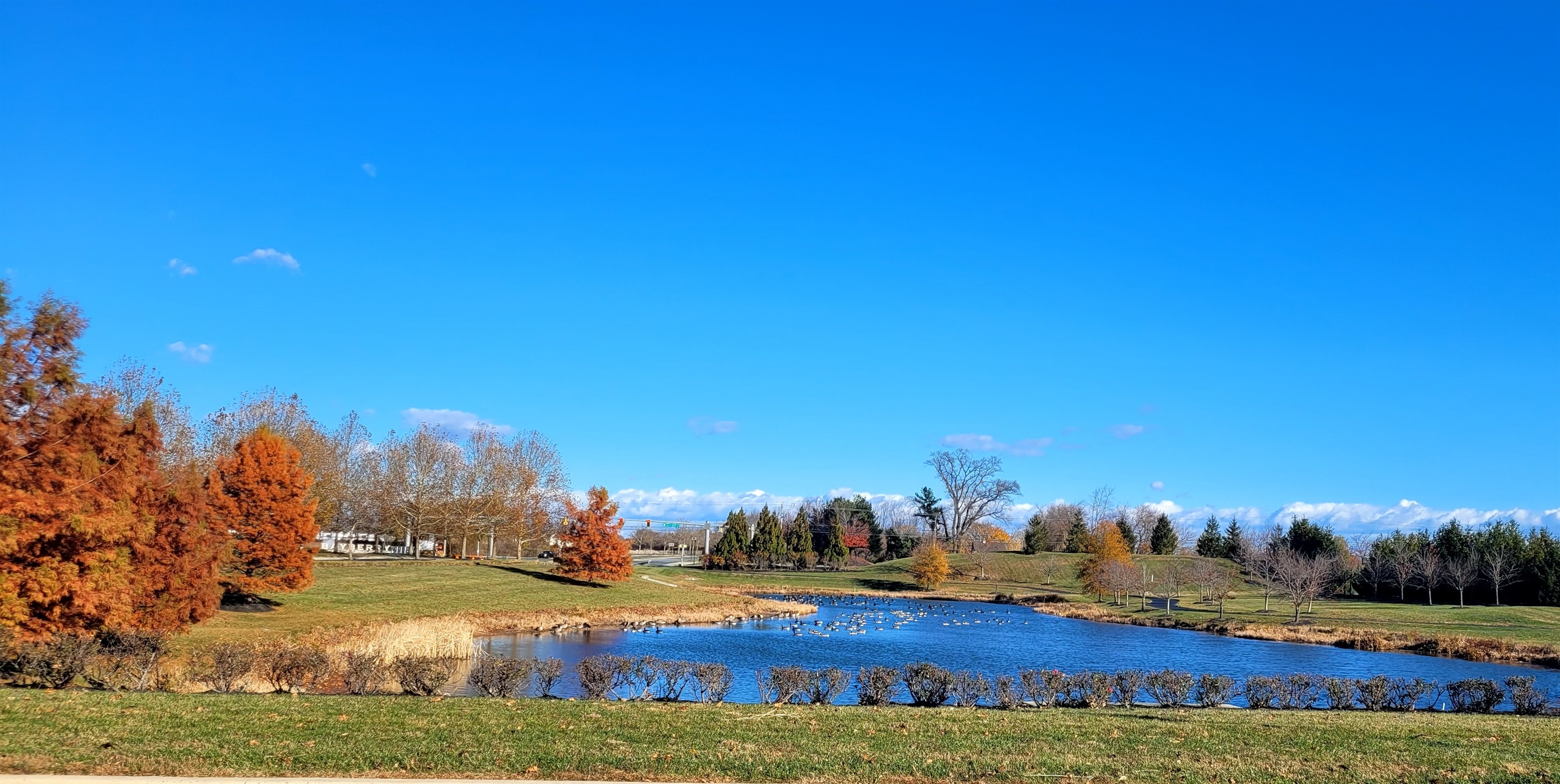 Nature on full display in the Ponds teeming with wildlife.