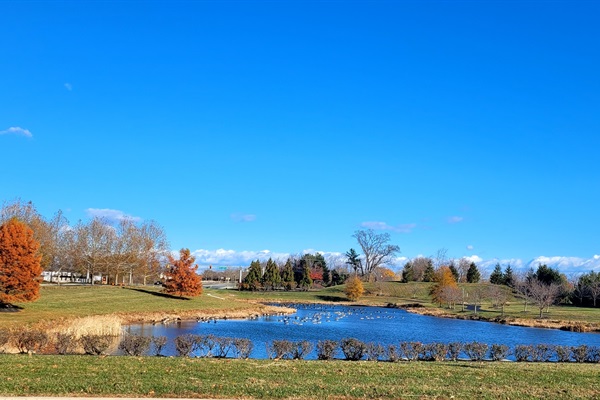 Nature on full display in the Ponds teeming with wildlife.