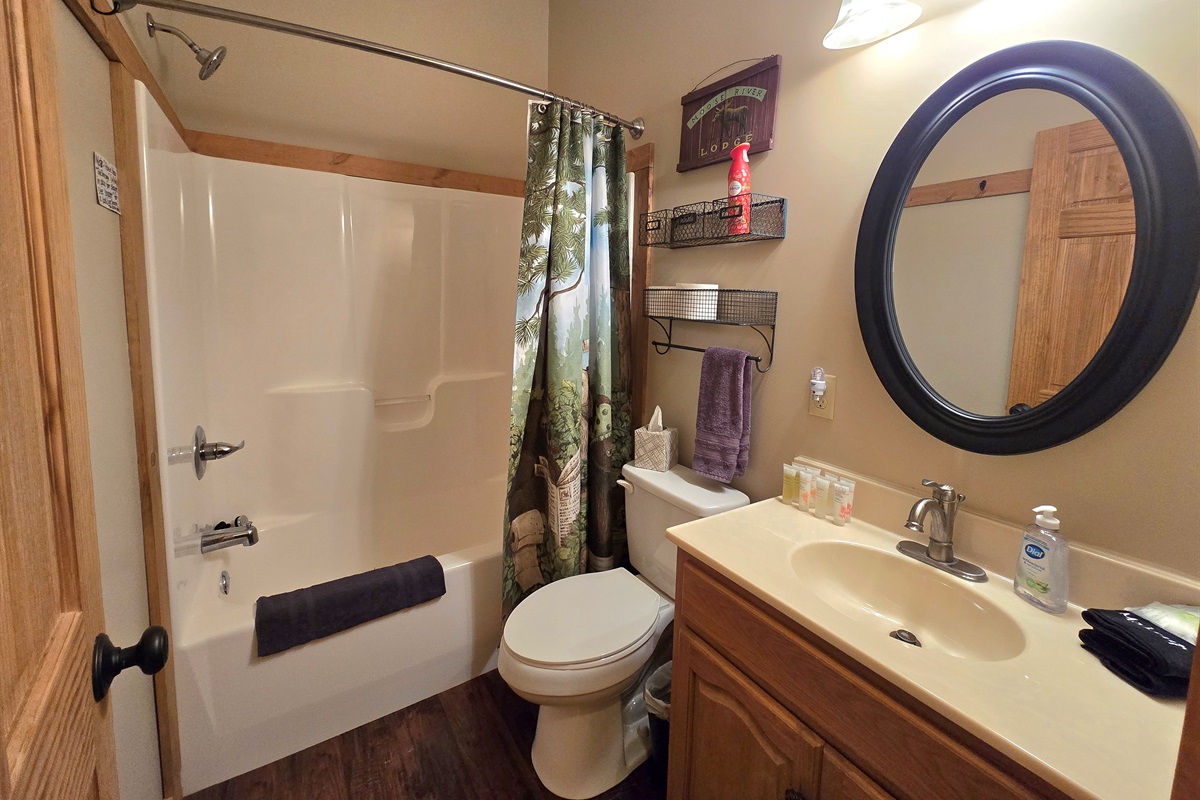 Tub/Shower Lower Level