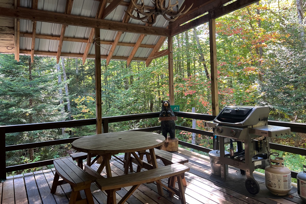 Covered Deck