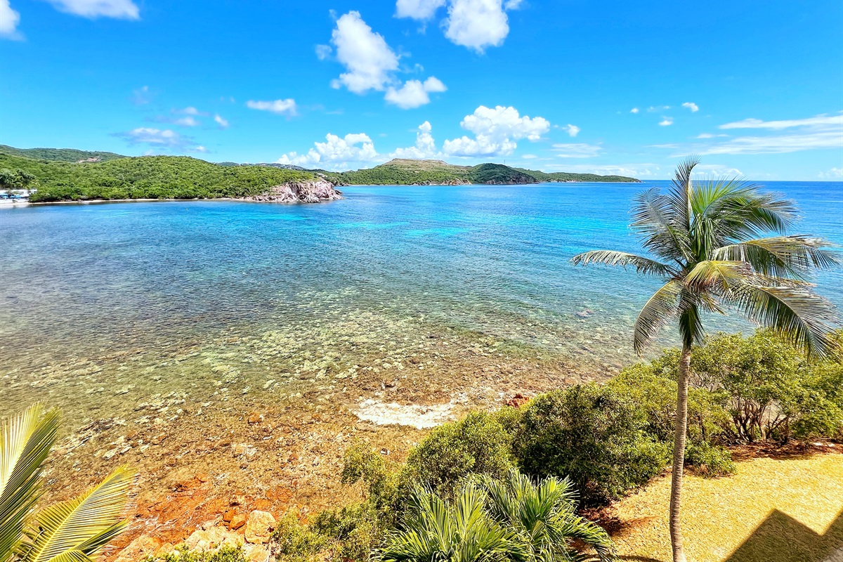 Take in soft blues, swaying palms, and the stillness of the sea.