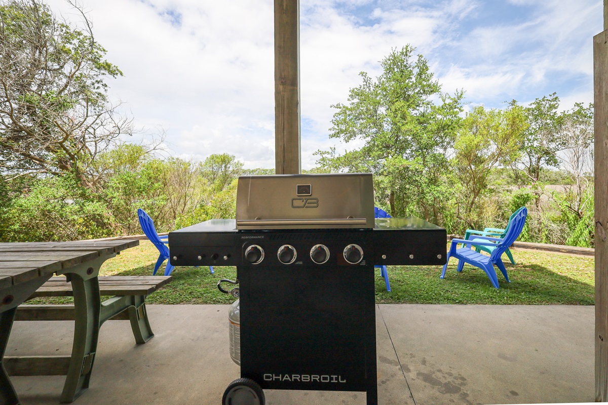A tranquil setting for a backyard barbecue