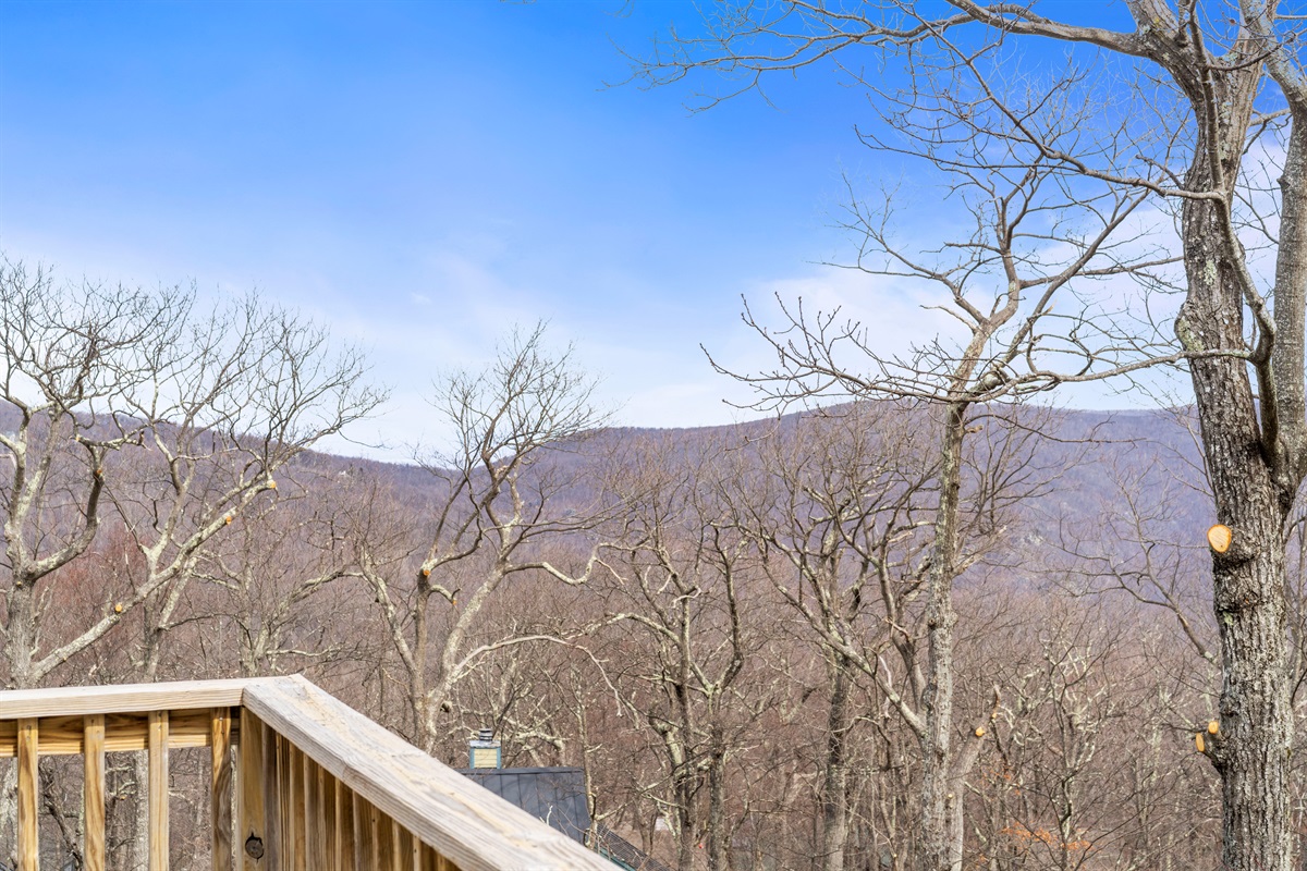 Mountain views peek through the trees in winter—step onto the deck and watch the seasons stretch across the valley in peaceful silence - view Lovingston in the distance