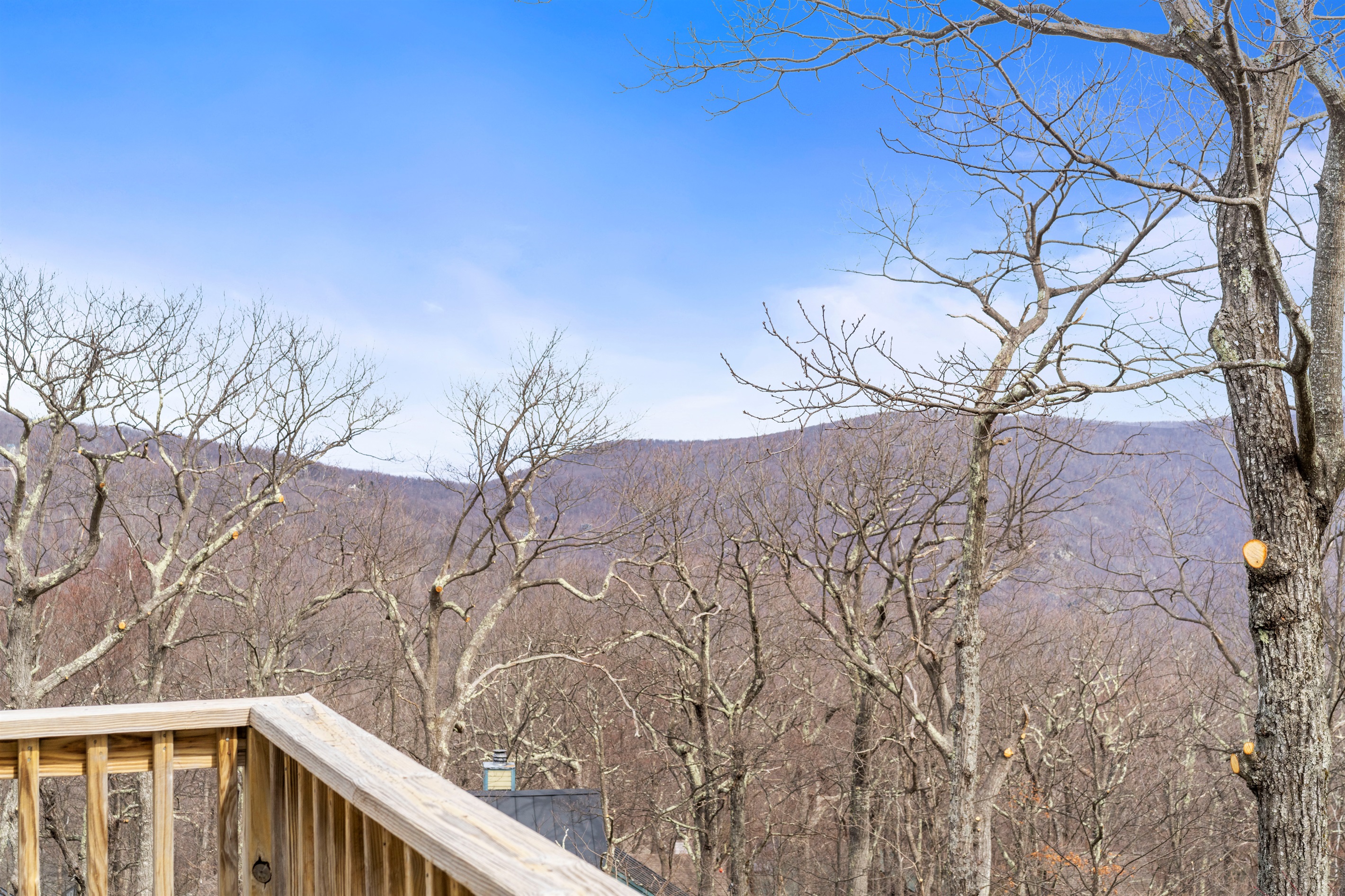 Mountain views peek through the trees in winter—step onto the deck and watch the seasons stretch across the valley in peaceful silence - view Lovingston in the distance