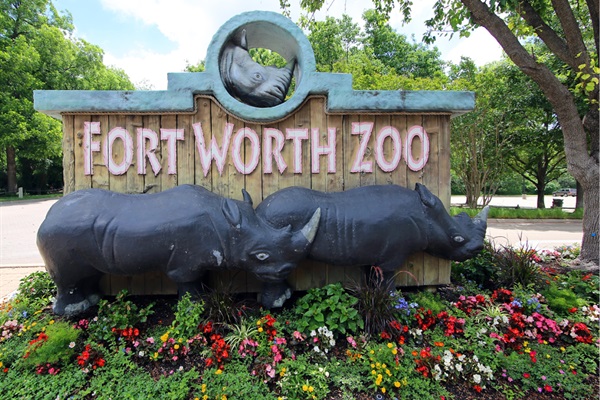 Enjoy the Forth Worth Zoo